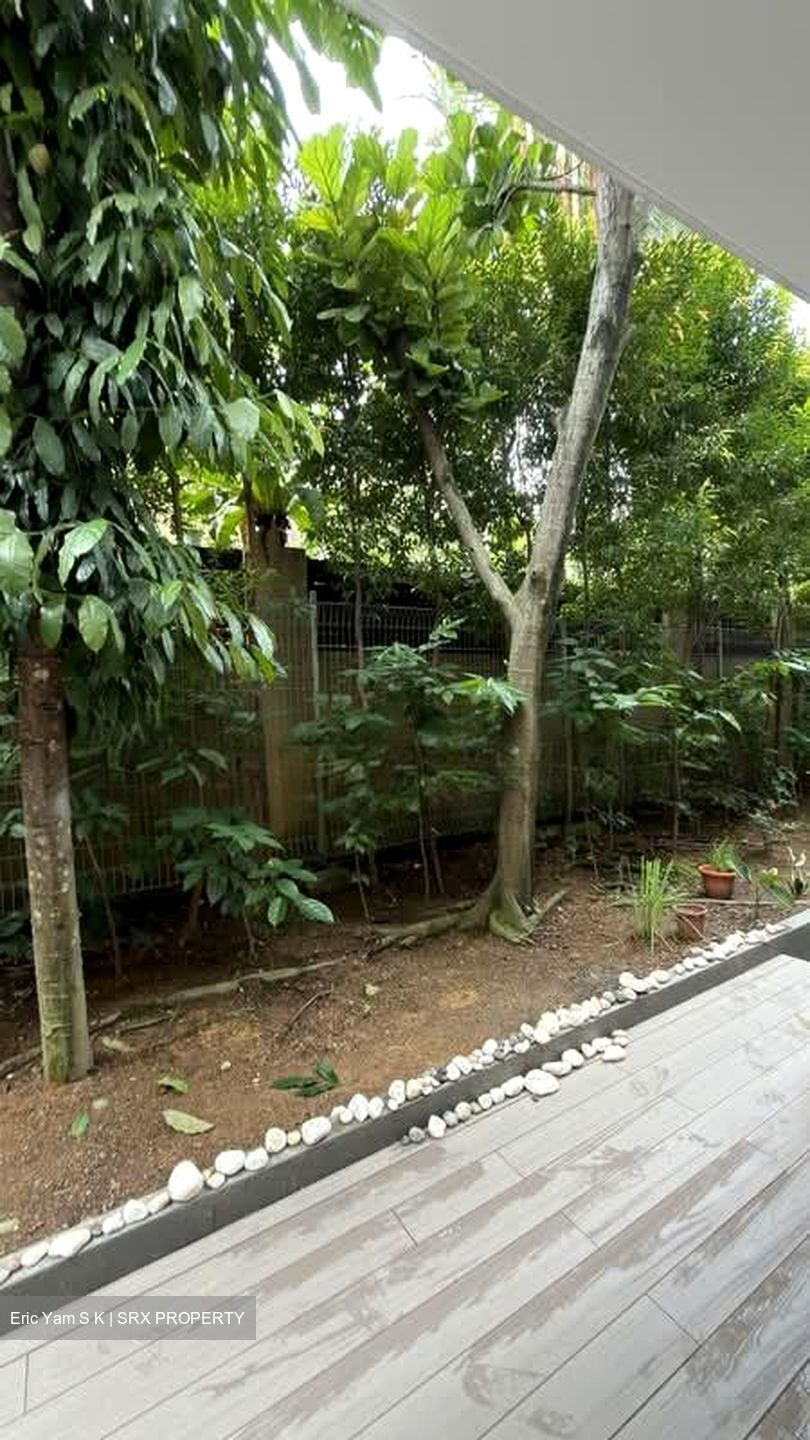 Cabana (D28), Terrace #599925491